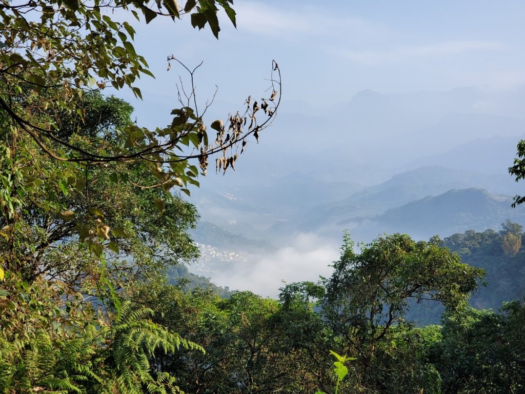 步道巡訪員│雲端上的尾寮山_828764