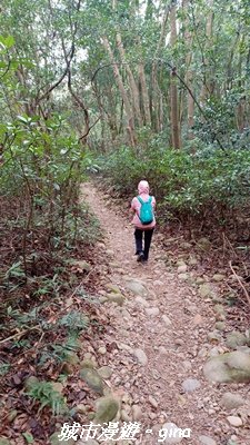 【苗栗三義】台灣百大必訪步道。 火炎山、南鞍古道O繞x火炎山下花海_2954180