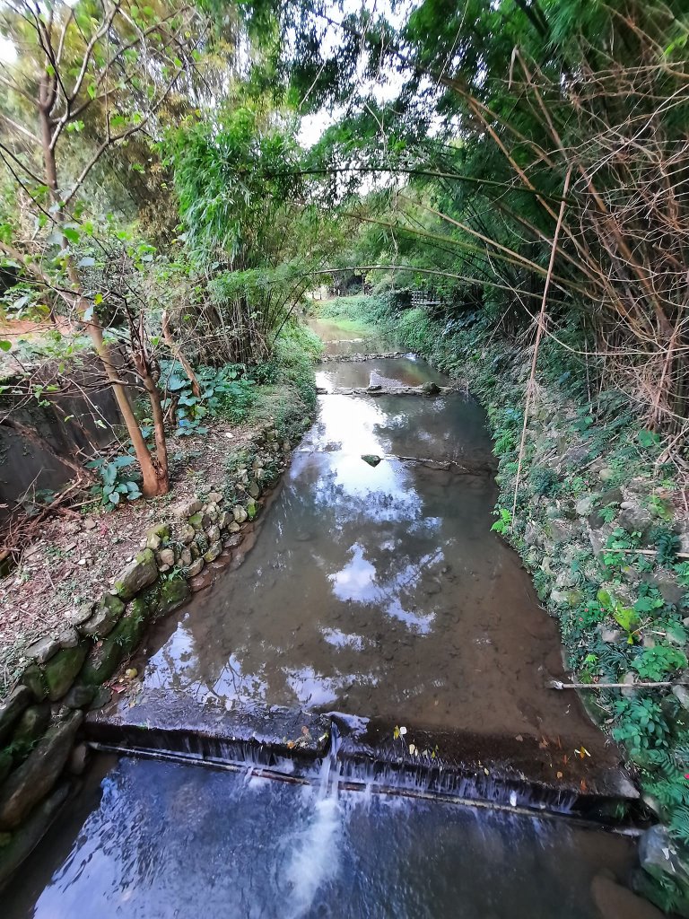 2023/01/08 土城天上山(小百岳)火焰山連走_2000505