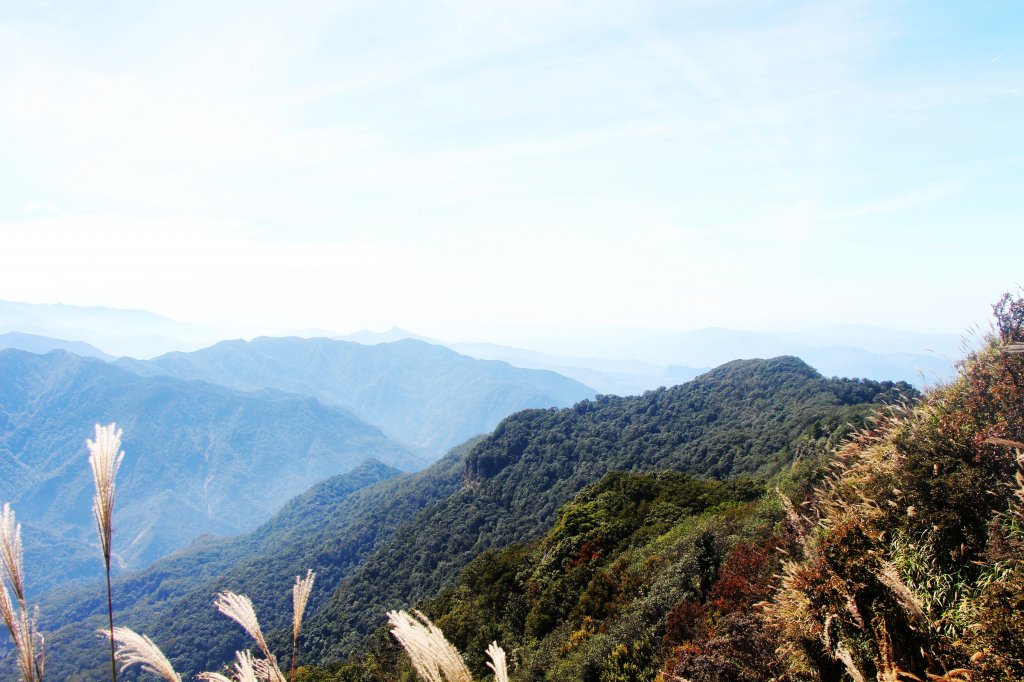 完美 加里山 ~ 香凝綠釀 清馨幽遠 ..._489615