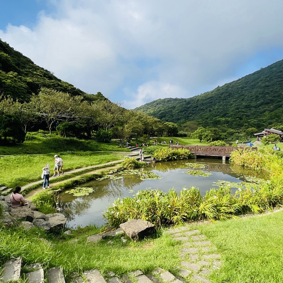 1130804面天山-向天山封面圖