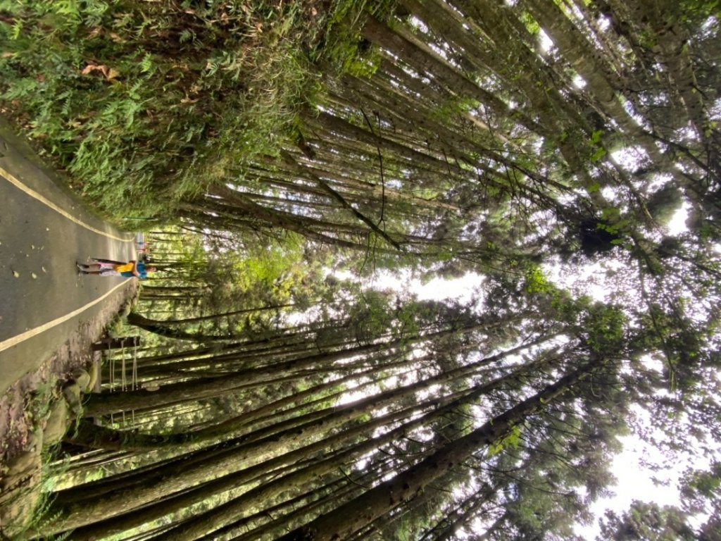 210730 杉林溪燕庵步道_1432194