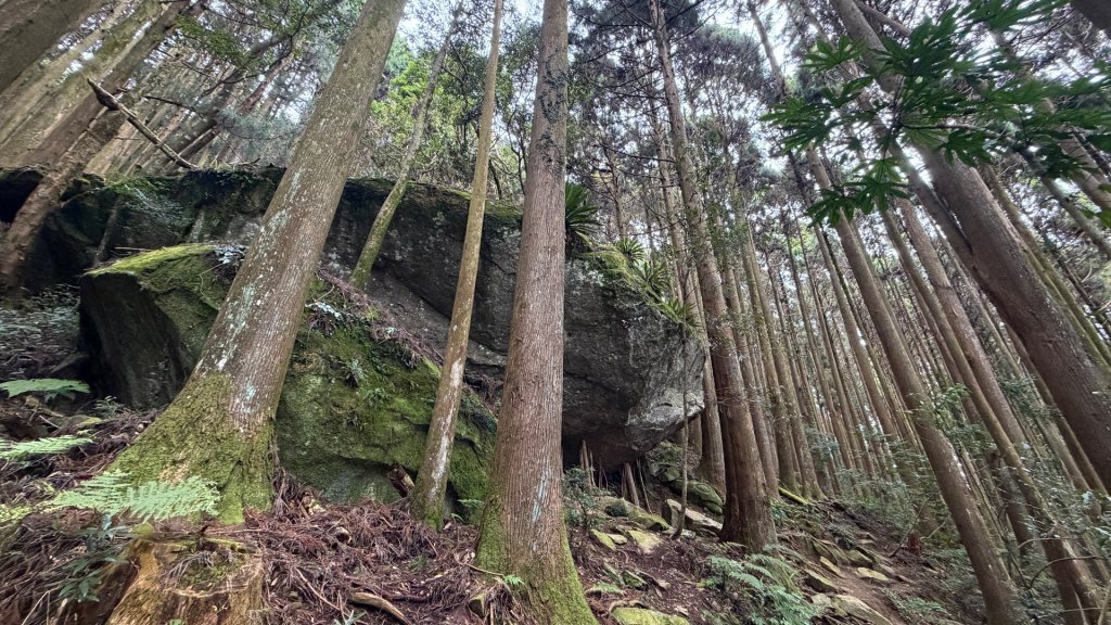 加里山 2025 12/28_2971692