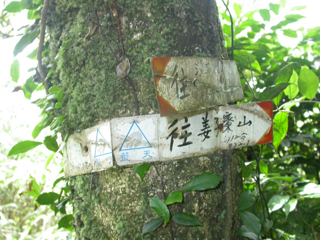 石硿大崙/姜子頭山_1959512