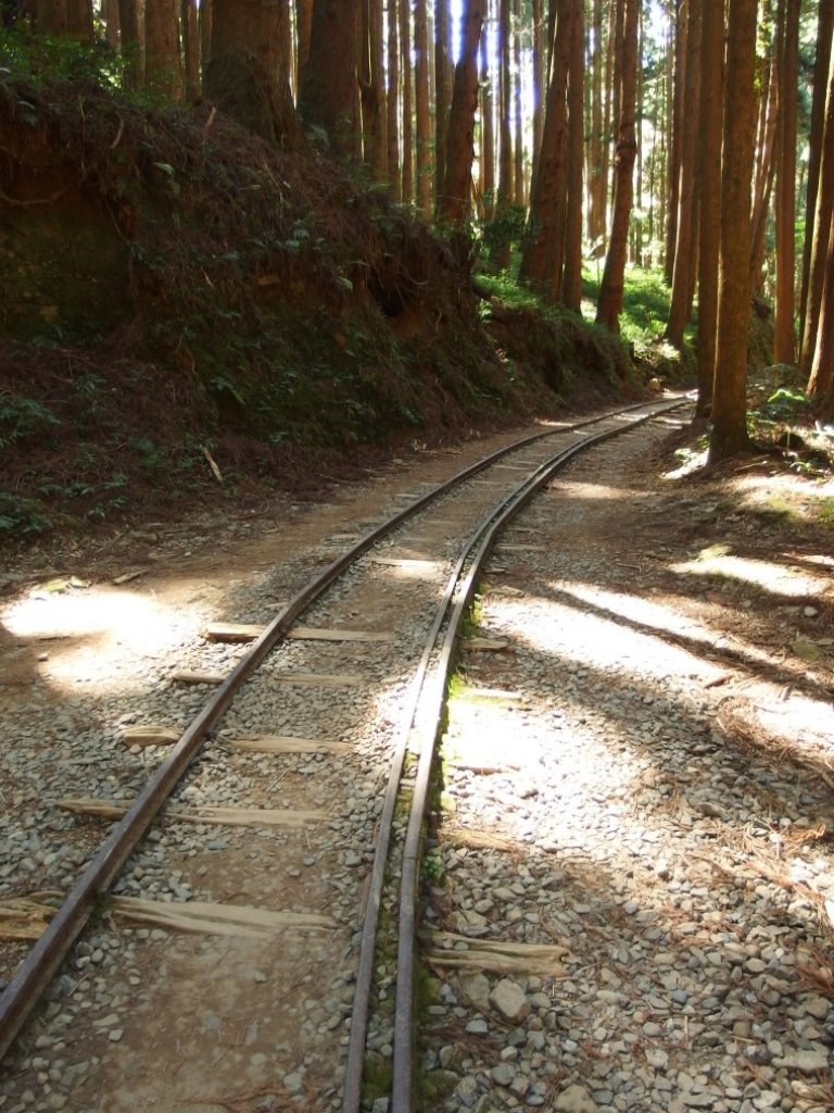 特富野古道輕鬆GO_449466