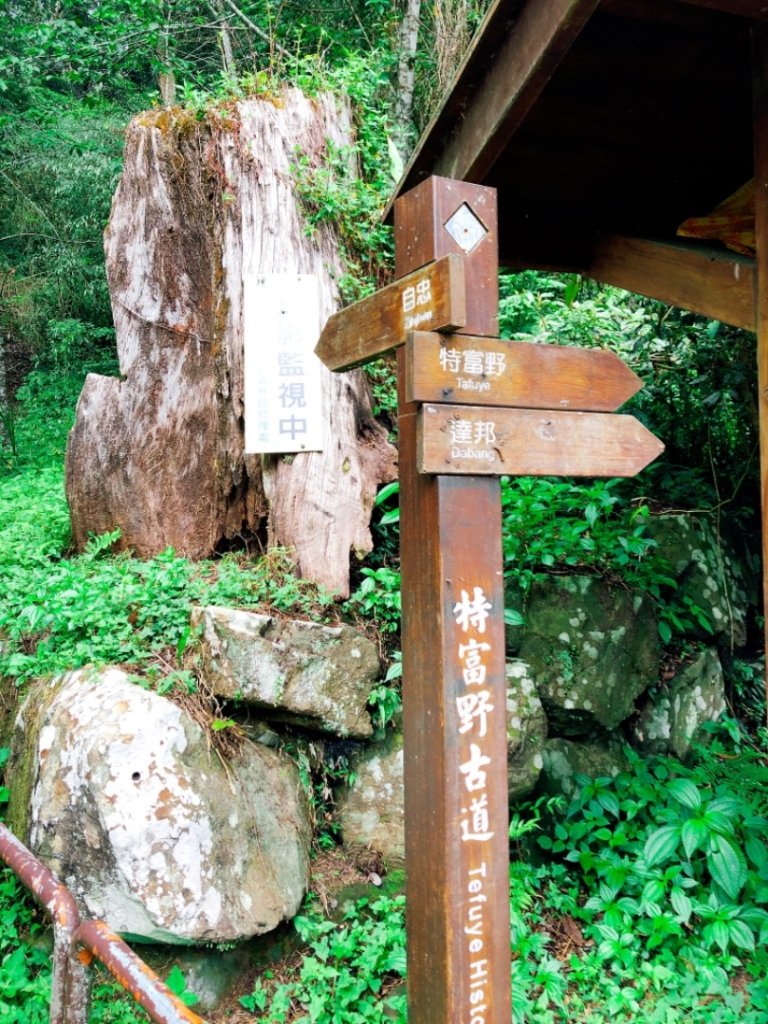 一路風景變化的美麗特富野古道封面圖