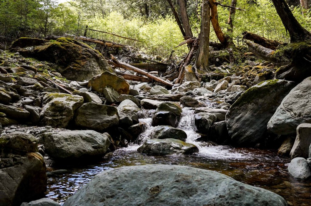 戒茂斯上嘉明湖三天兩夜_2769387