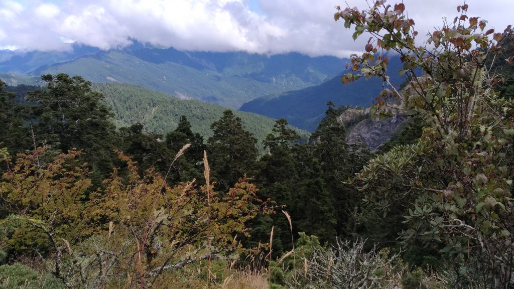 美麗山谷~~小奇萊山!_185090