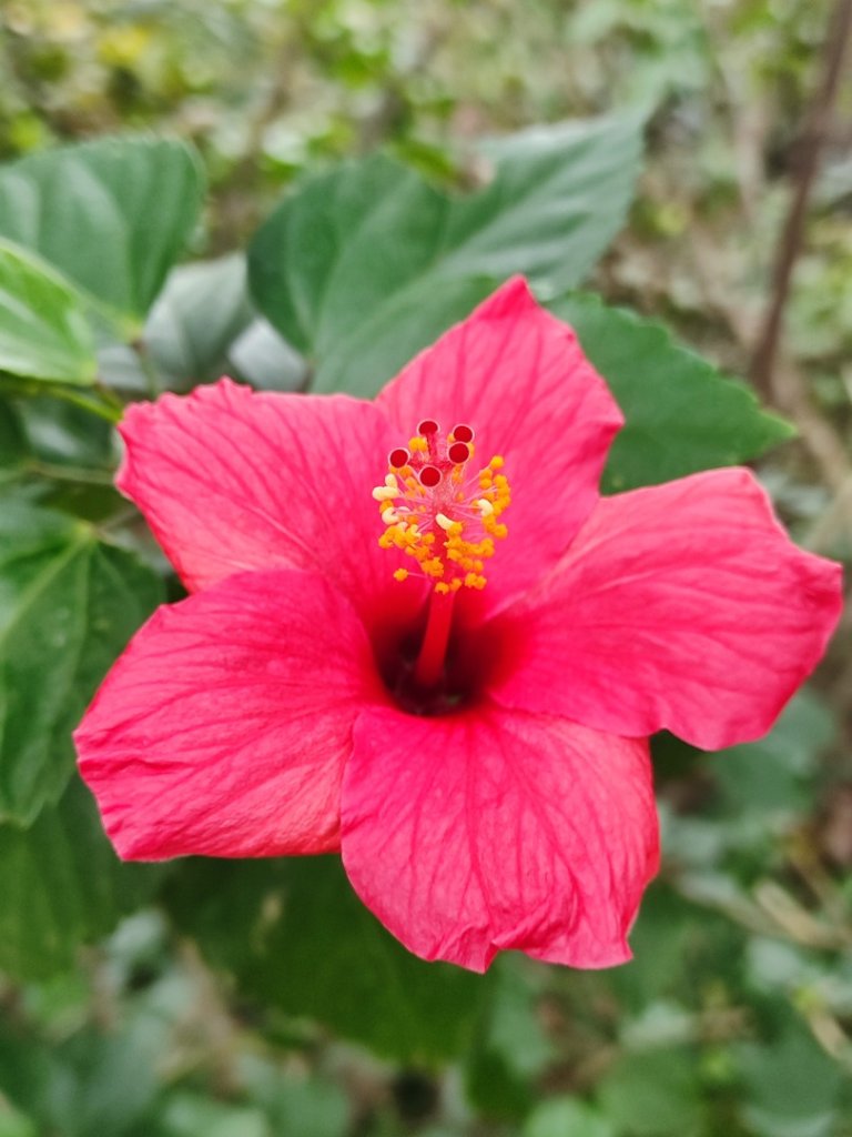 基隆紅獅劉蚵縱走_2979387