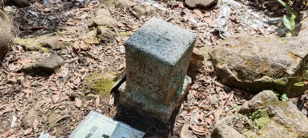 20240228_那羅山步道_2441049