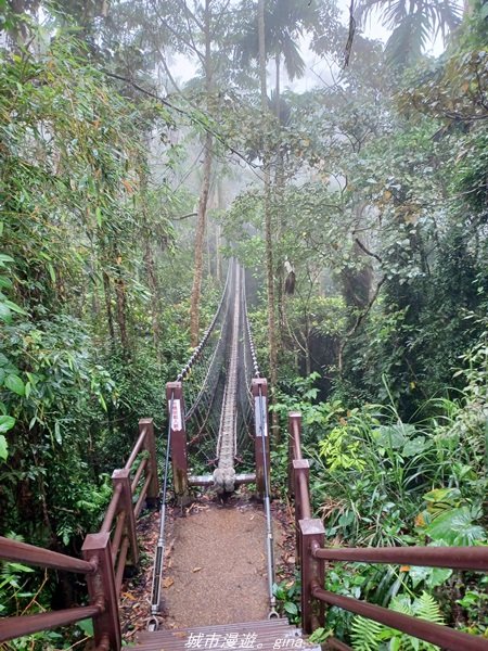 【雲林古坑】適合親子散散步。 華山小天梯情人橋_1681763