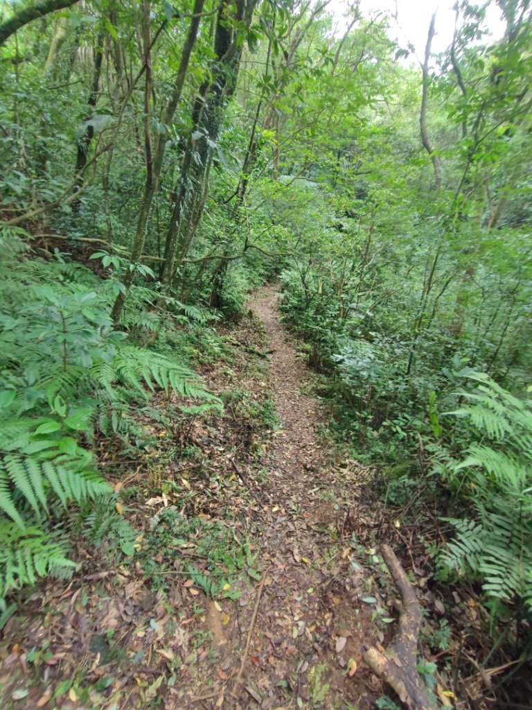 淡蘭北路第二段：燦光寮至澳底_2528418