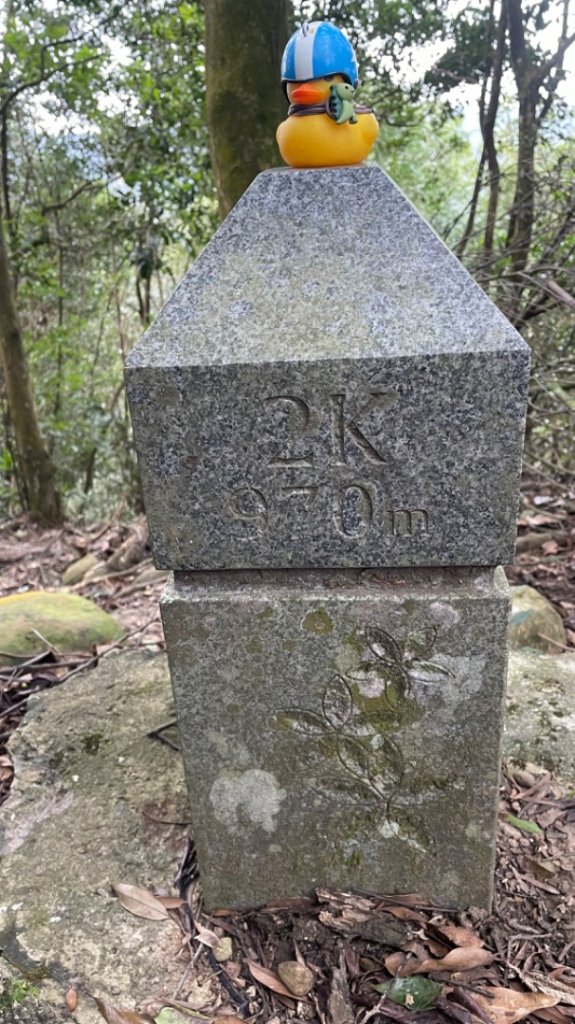 苗栗三義銅鑼三員縱走-三角山-員屯山_2650230