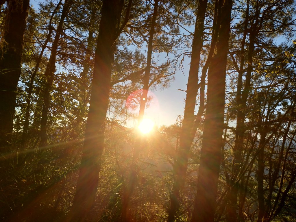 一日單攻志佳陽治腳癢_1517379