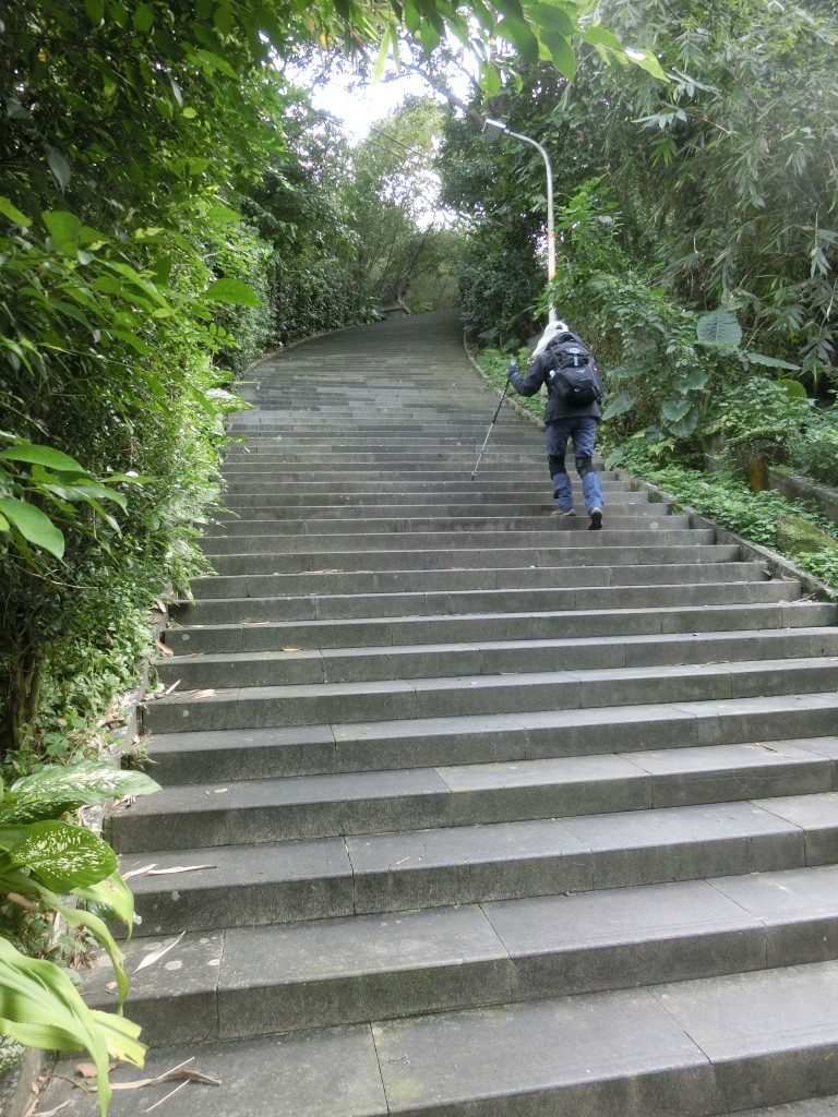 指南宮貓空步道_247774