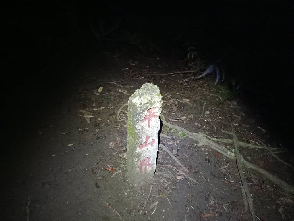 20241228之向天湖山 加里山 哈堪尼山 虎山西南峰 南大龜山 三角湖山_2688690
