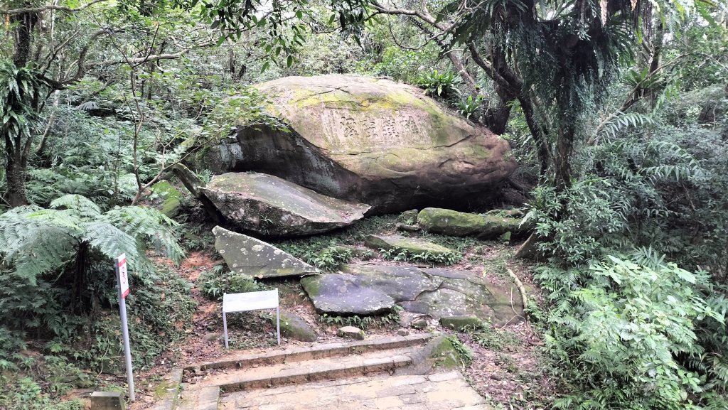 20251115_草嶺古道追芒趣_2942940