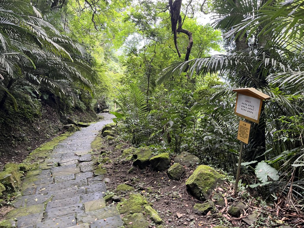 [皮皮獅Hike客任務-04/10] 2024_0721 獅山古道_2557478