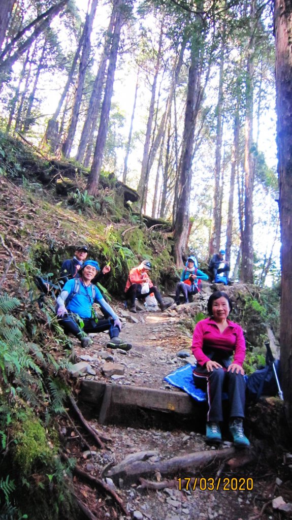 八仙山+佳保台山 ~ 挑戰雄關 辛辣凝香_918550