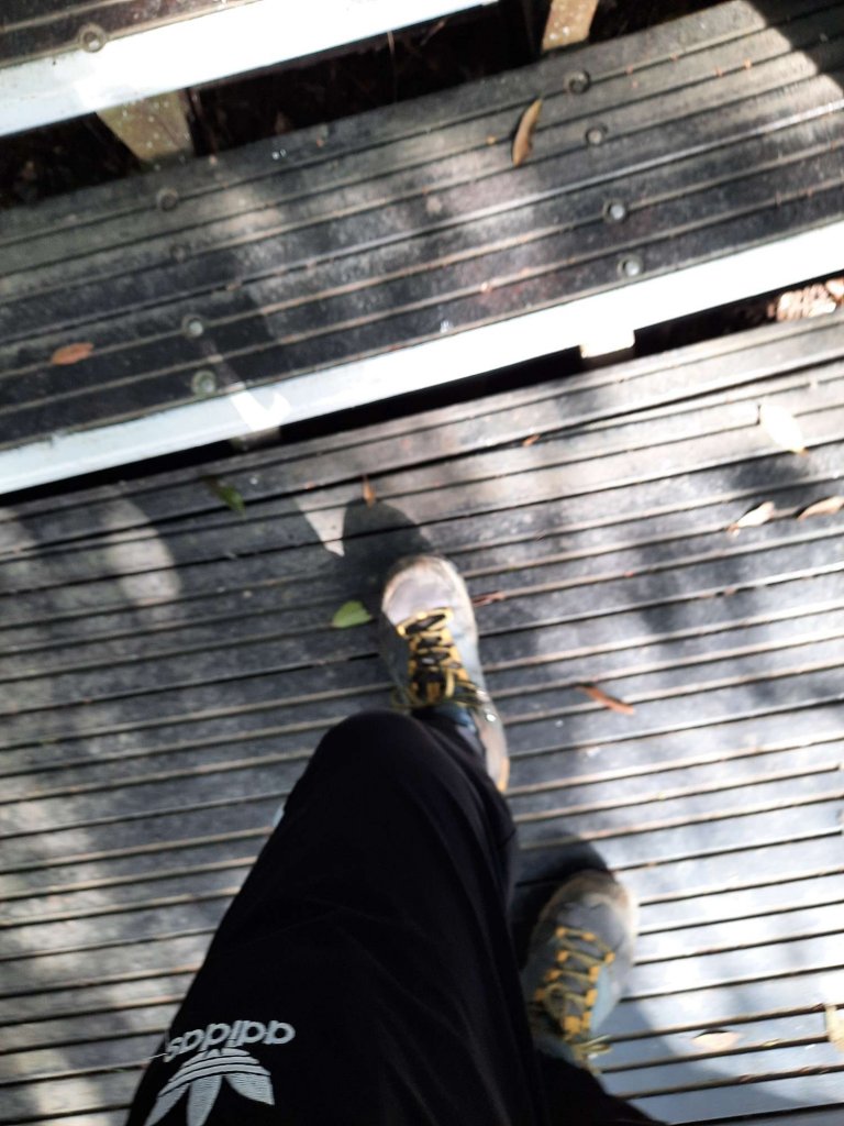 20230212 大崙頭尾山 (小百岳)，草莓園吃冰，白石湖_2028512