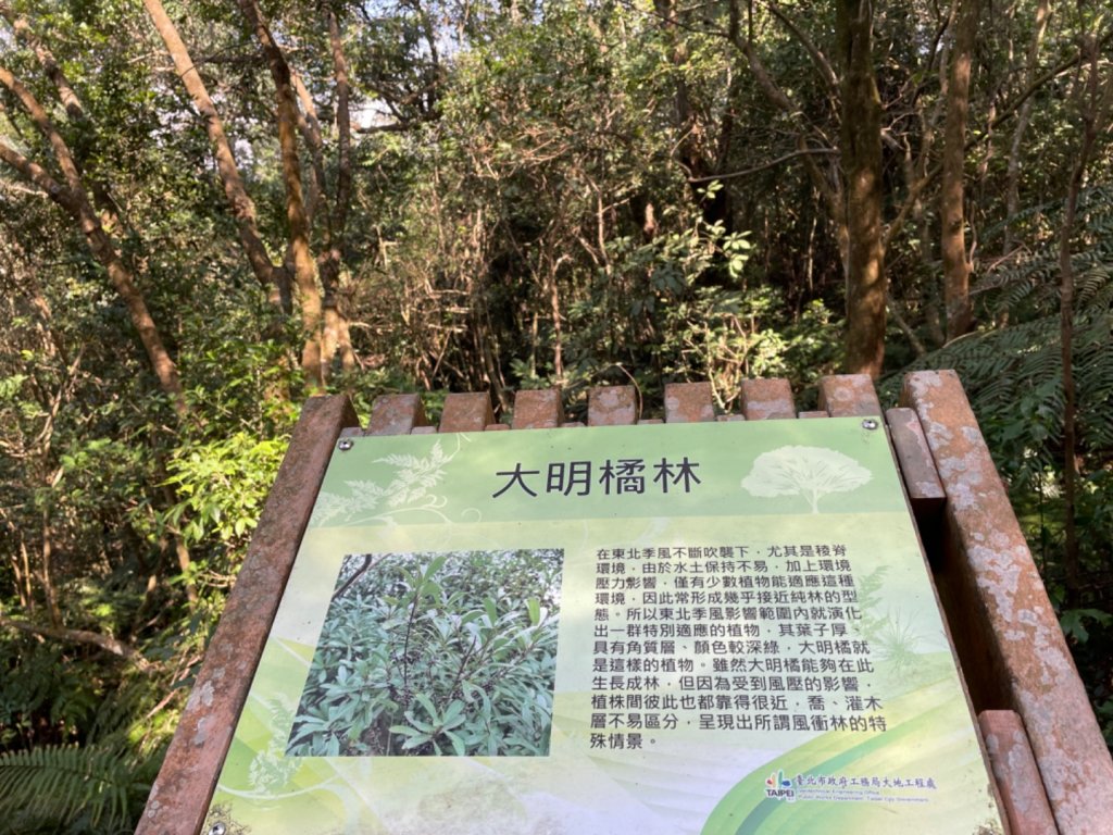 大崙頭山步道_2014582