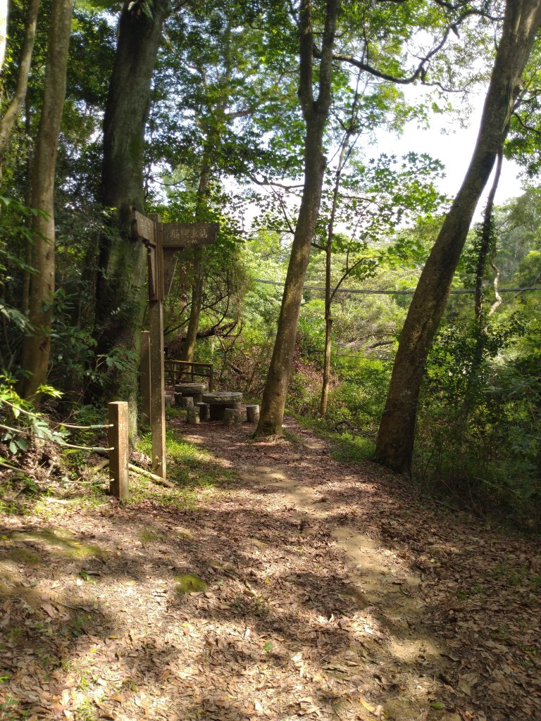 三義 挑柴古道_977120