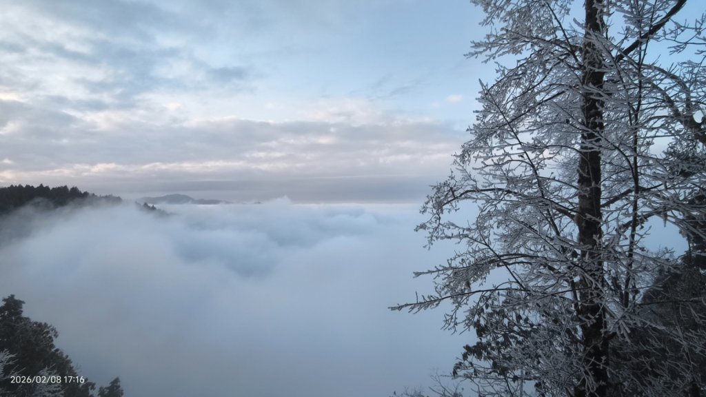 #霧淞 #雲海 #雲瀑 #霧虹 #太平山 #望洋山 #觀雲步道 #翠峰道路  2/8_2995296