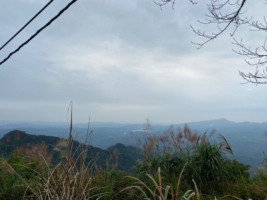 037苗栗泰安-馬那邦山_2604653