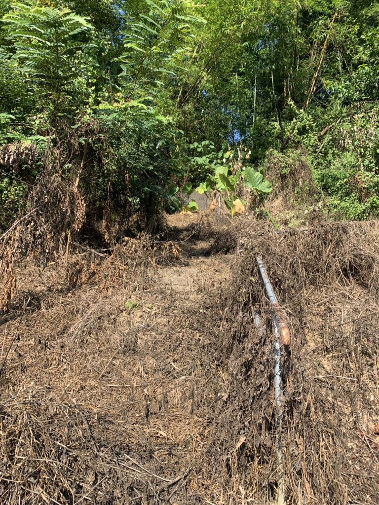 20251122高雄河埧寮_2945289