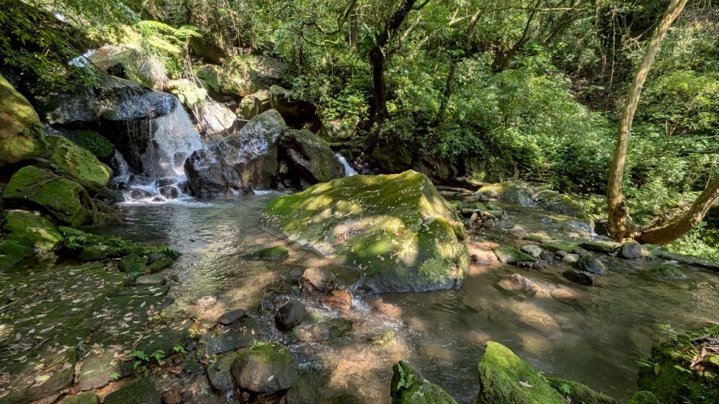 114.04.27草山觀瀑吊橋-紫明溪步道之旅_2771787
