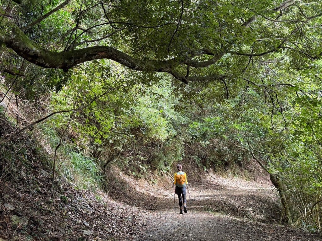 雪霸國家公園 雪見遊憩區 東洗水山_2928543