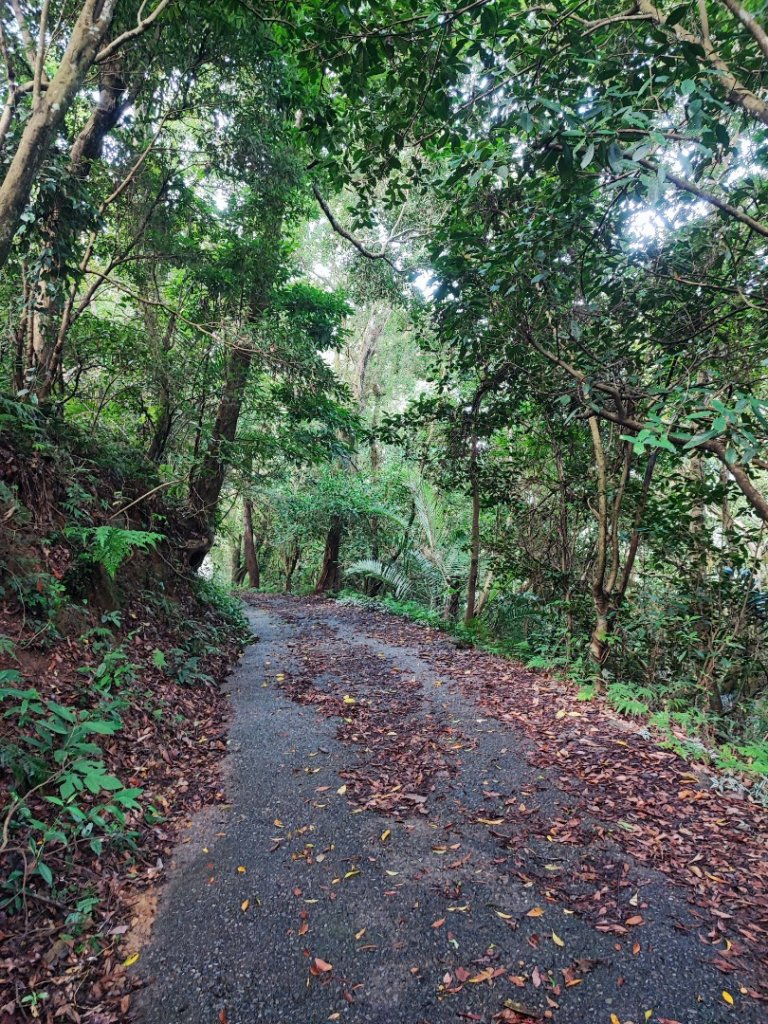 關刀山-小百岳#36-苗栗縣三義鄉_2244989