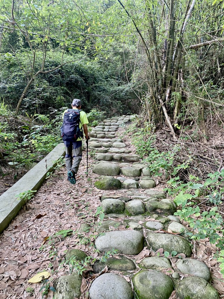 公老坪蜈蚣崎步道O型走    2024.5.3_2498329