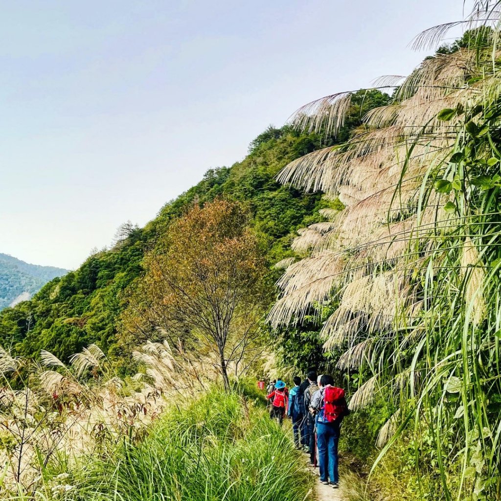 【一日霞喀羅】尋找楓葉的蹤跡_1202597