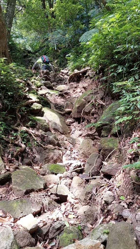 楓樹湖古道登面天北稜上面天山_2782257