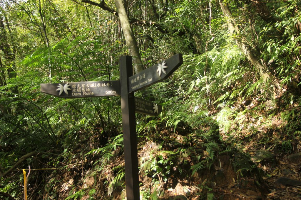 淡蘭古道北路坐山望海_1253876