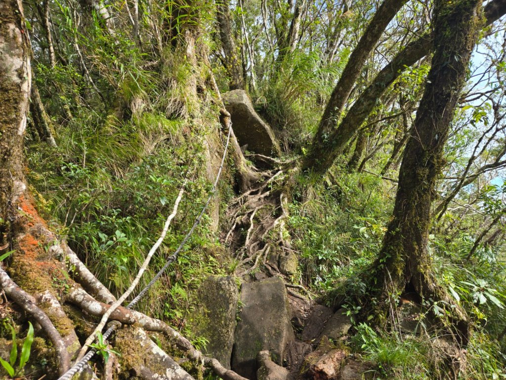 都蘭山（小百岳）_2974191