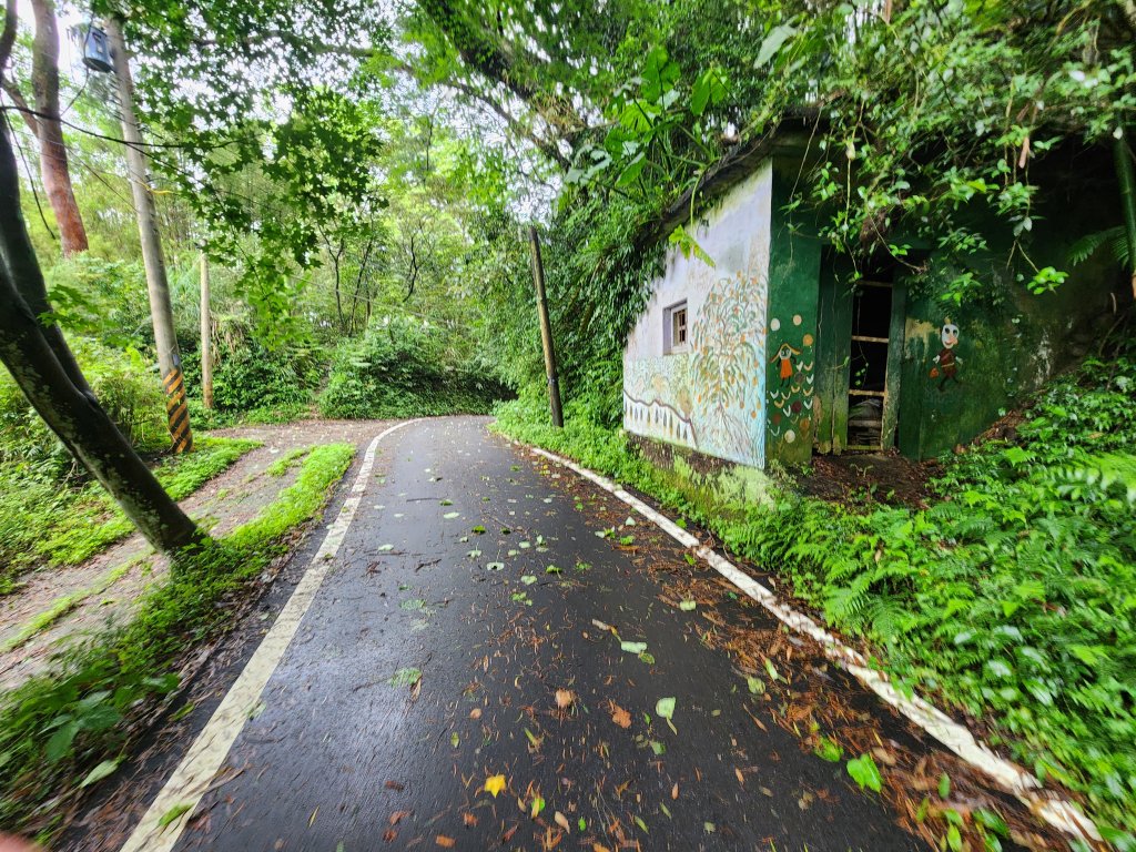 20250427大山背山田寮山毬子山騎龍山_2933643