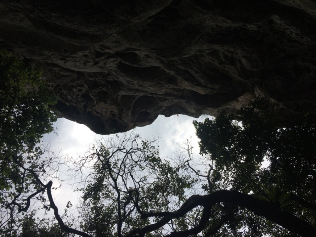 頭寮、石龜坑、白石、草嶺、慈湖_2491827