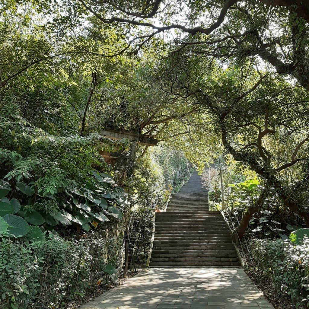 臺北大縱走7：幽徑踏青探仙神_1255155