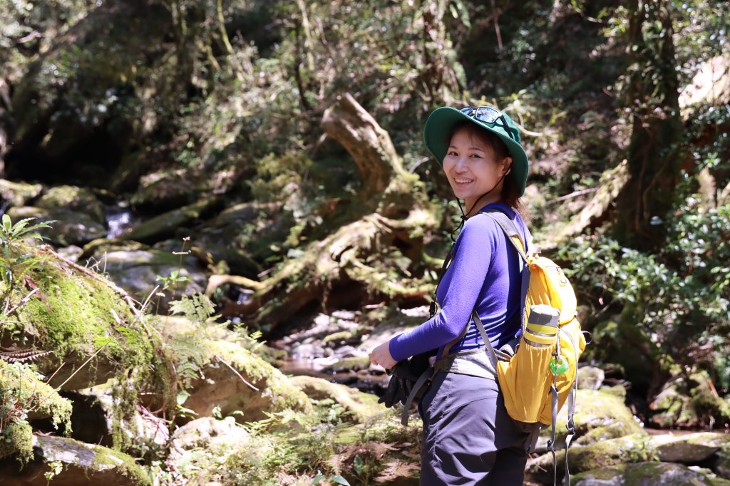 北插山腳散步之赫威神木群_2757681