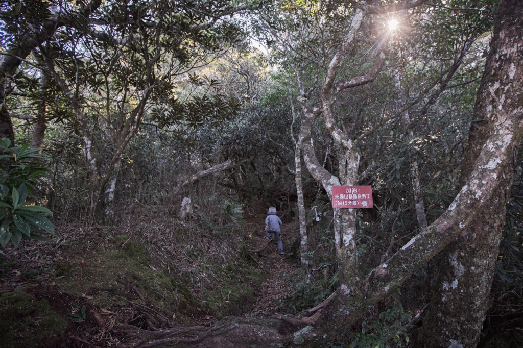 復興三尖之夫婦山 & 雪霧鬧部落_1921661