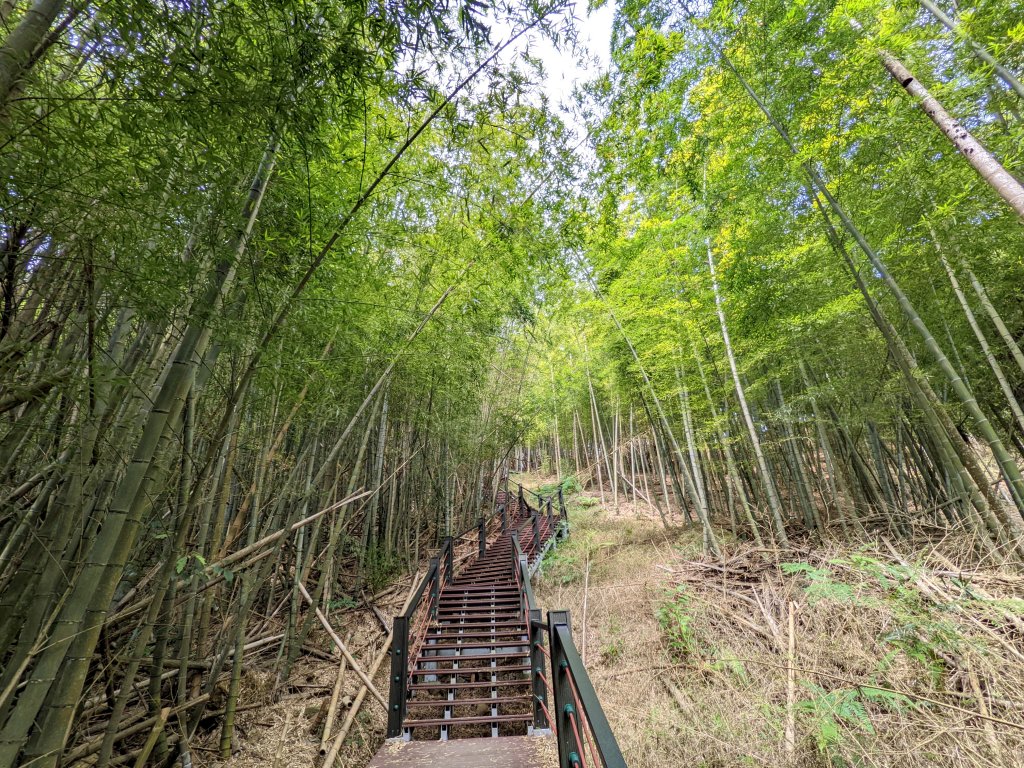 雲嘉大尖山封面圖