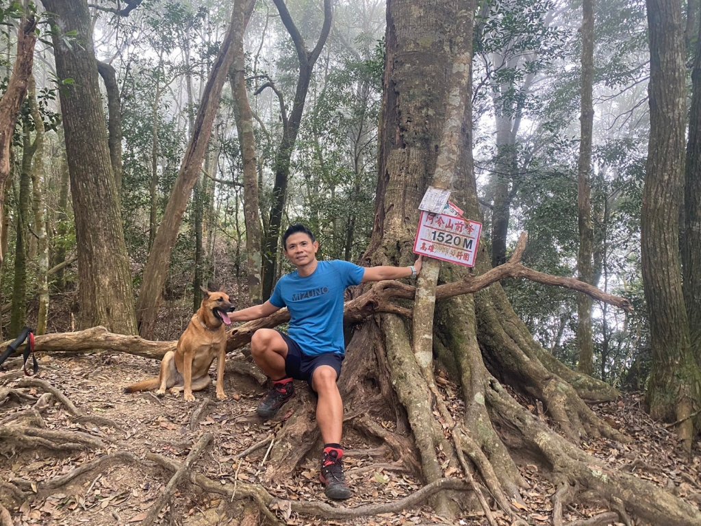 阿冷山【好酒沉甕底的隱藏版魔王】_2649278