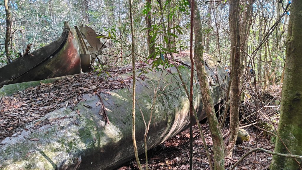 波鞍船稍G屋東_2688228