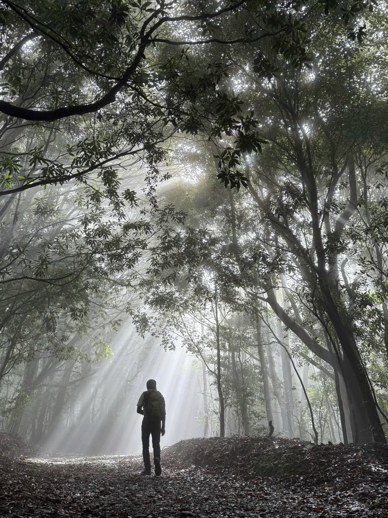 司馬限林道 訪 北坑駐在所_2811061