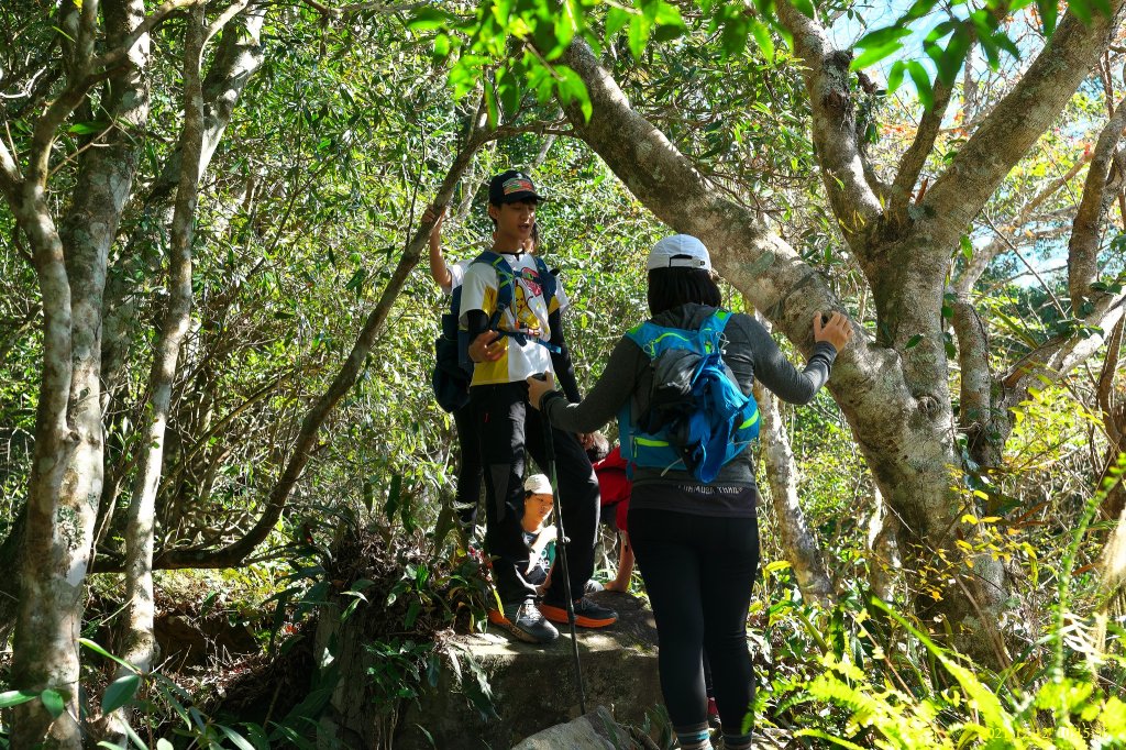 大混山連走李棟山_1547251