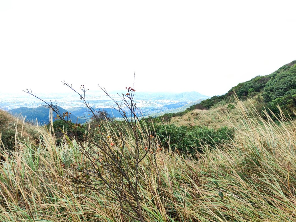 苗圃上七星下冷水坑_2647486