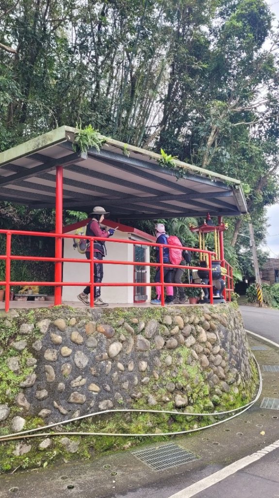 青潭越嶺政大-賞梅花🌸安坑🐦嘴四秀_2691710