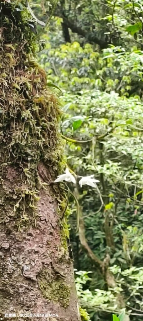 20240419-20松羅湖二天一夜_2767339